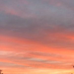 Meet your Posher, Priya